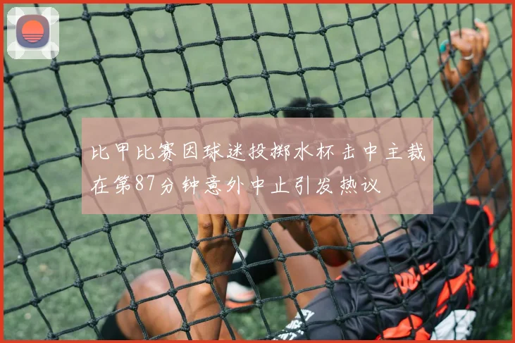比甲比赛因球迷投掷水杯击中主裁在第87分钟意外中止引发热议